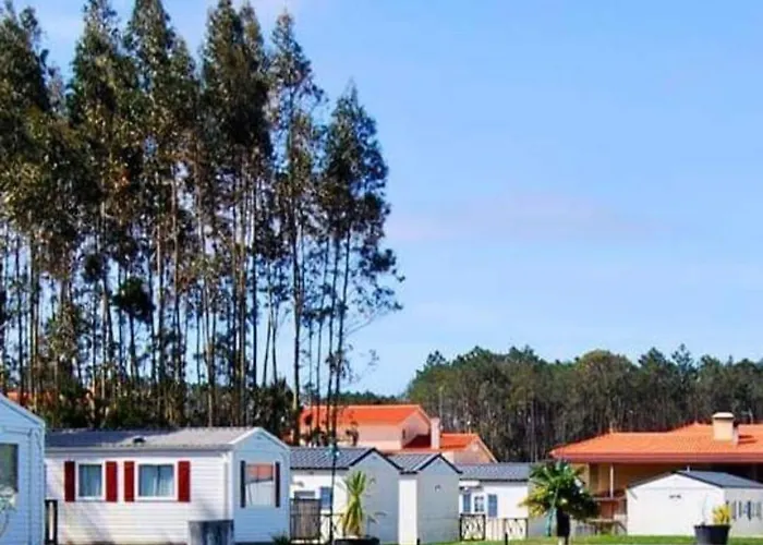Casa Da Aguieira Kamp alanı *