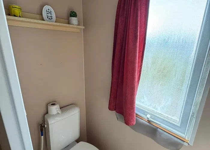 Casa Da Aguieira Kamp alanı *